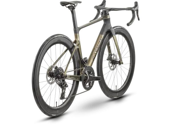 Raymon Arva Elite 26s Record Rennrad carbon/champagne