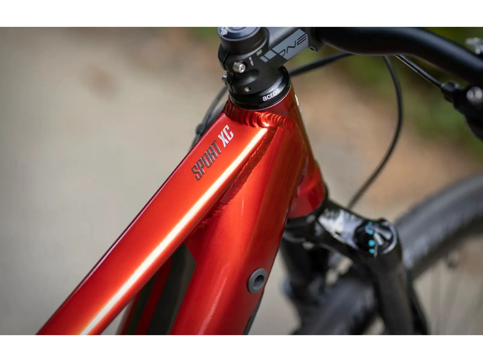 Superior eXC 7019 B E-Mountainbike Gloss Dark Red/Chrome Silver
