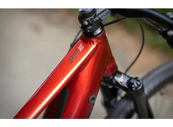 Superior eXC 7019 B E-Mountainbike Gloss Dark Red/Chrome Silver