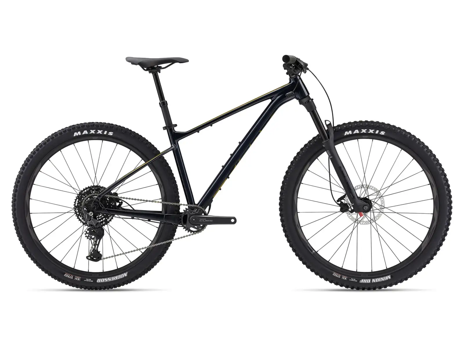 Giant Fathom 29 2 Mountainbike Cold Night