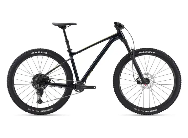 Giant Fathom 29 2 Mountainbike Cold Night