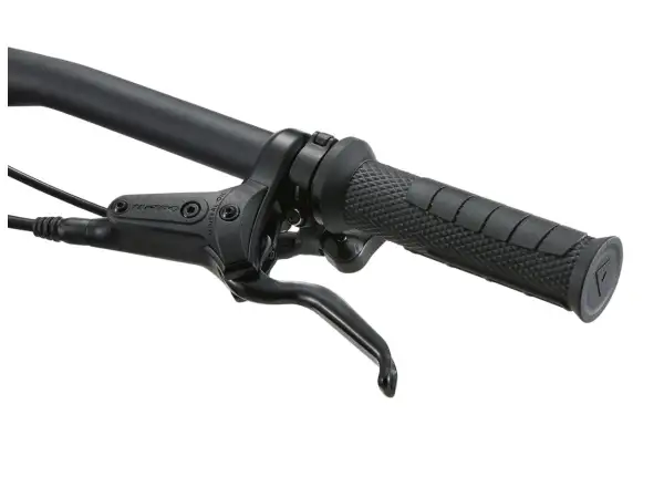 Giant Faith 24 Kinder-Fully Raw Aluminium