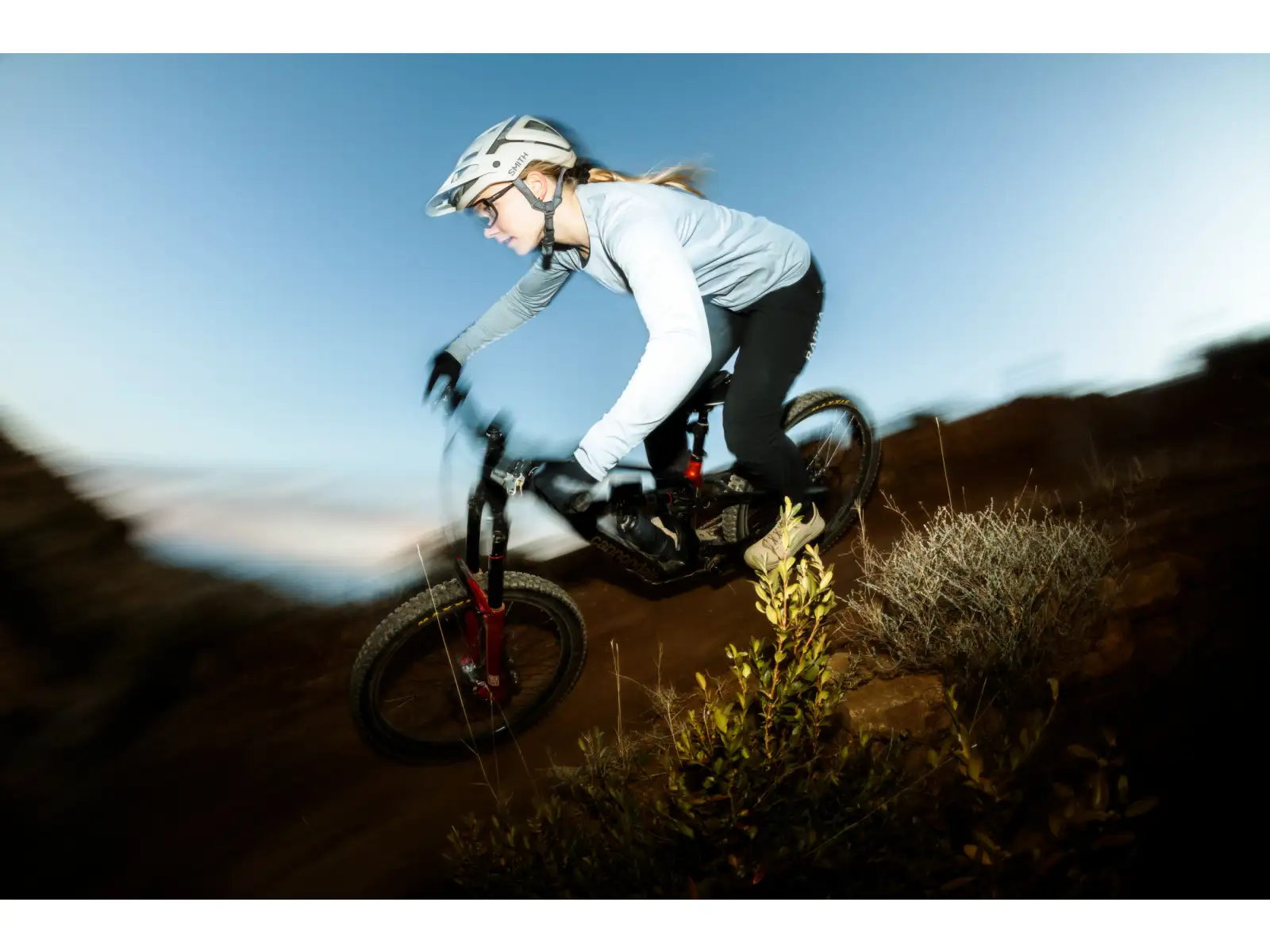 Cannondale Bad Habit 1 Mountainbike RAW Carbon