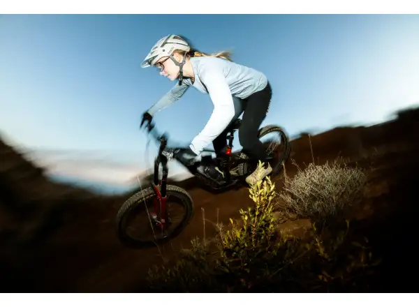Cannondale Bad Habit 1 Mountainbike RAW Carbon