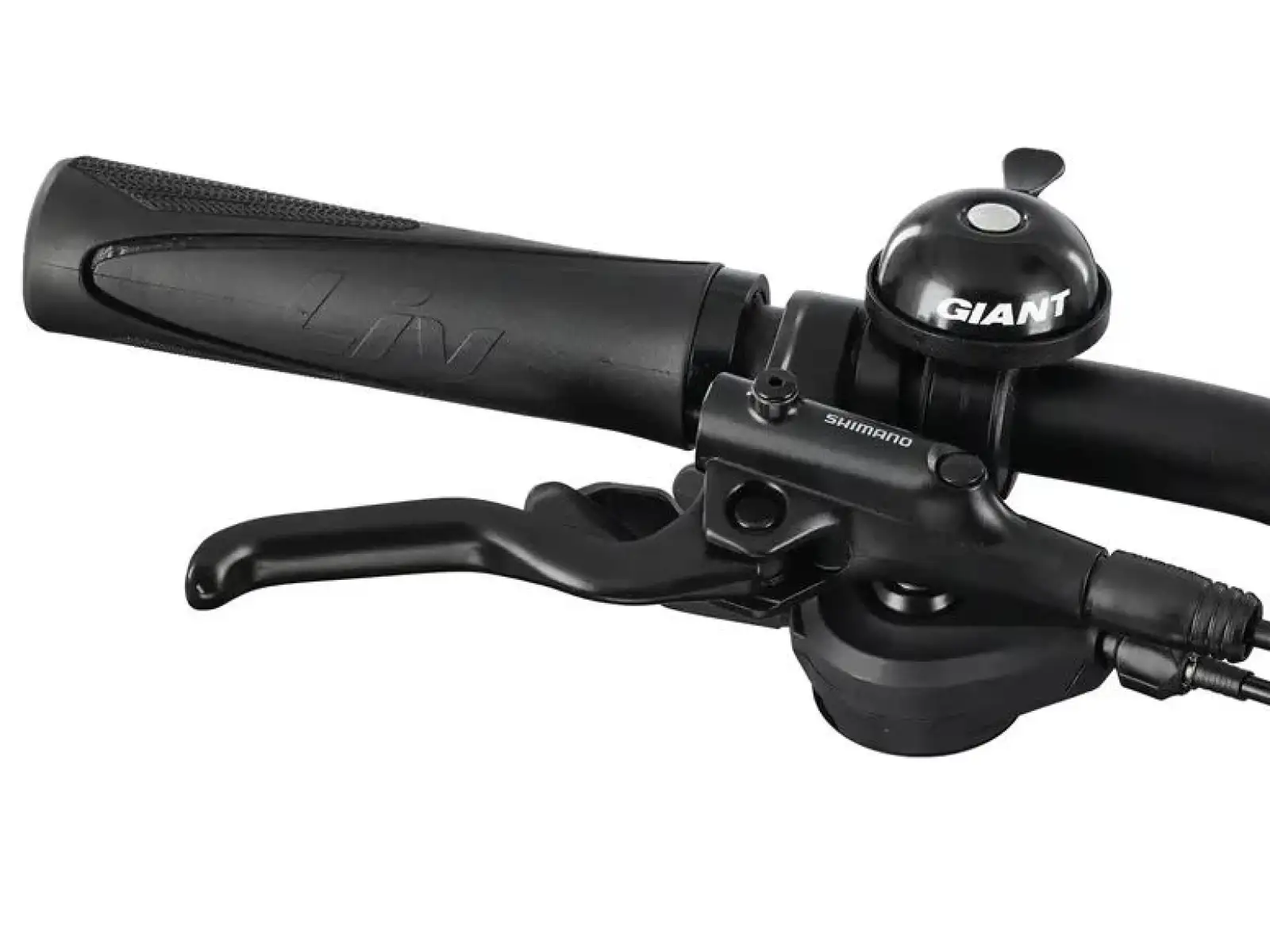 Liv Rove 1 DD Damen-Trekkingrad Dark Eclipse