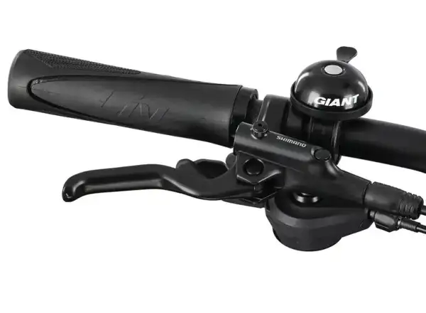 Liv Rove 1 DD Damen-Trekkingrad Dark Eclipse