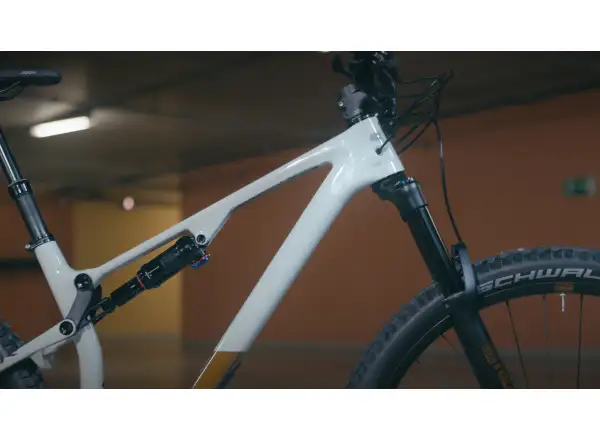 Superior XF 929 TR Mountainbike Glanz Grau/Kupfer