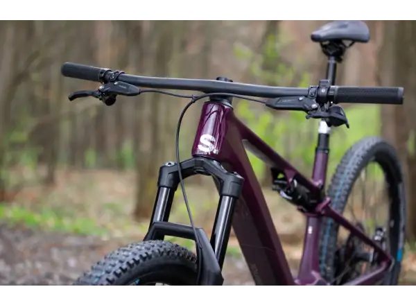 Superior iXF 9.8 Elektro-Mountainbike in mattem Beeren-Carbon