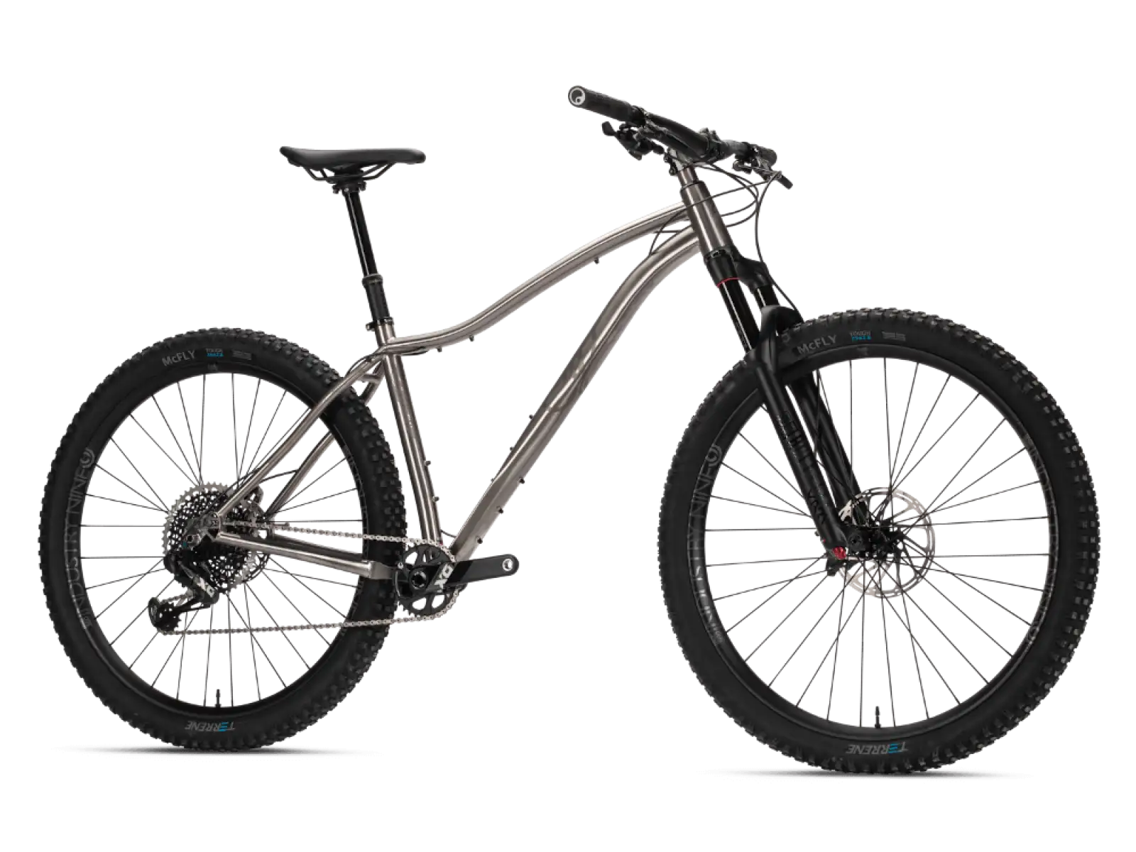 Why Cycles Wayward GX Eagle Titan Mountainbike