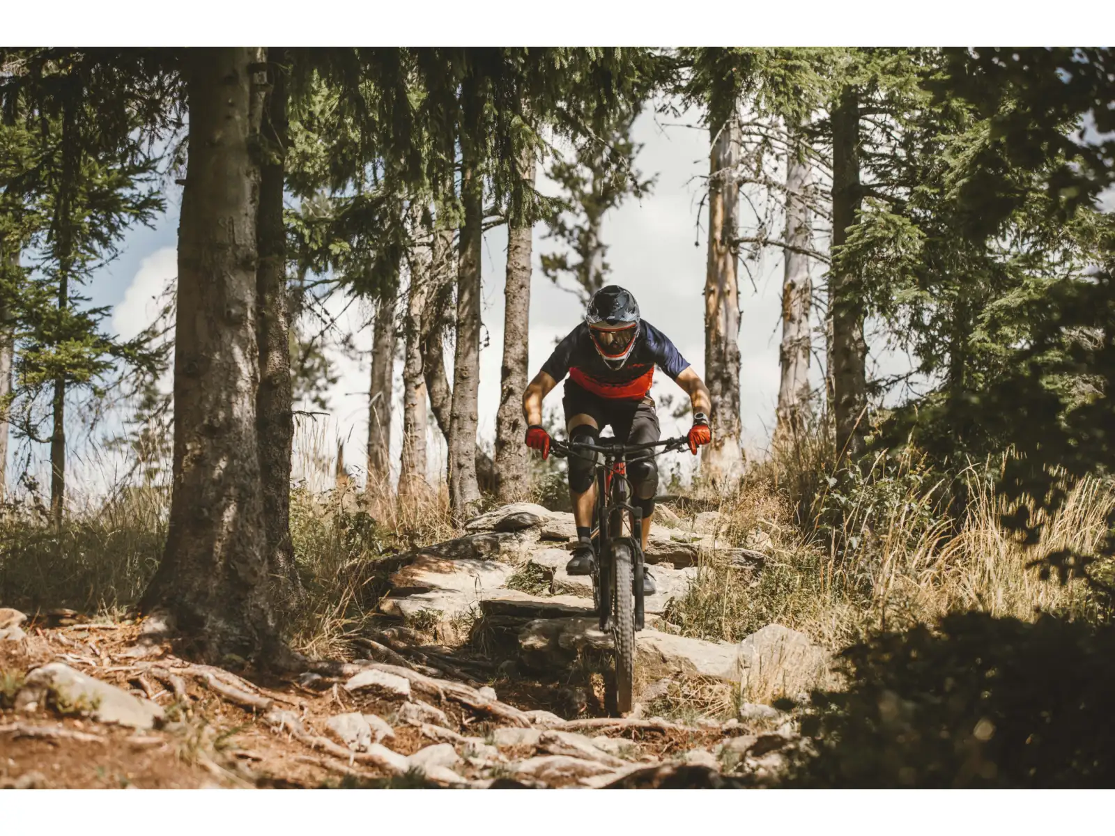 Force Angle MTB Herren-Fahrradtrikot mit kurzen Ärmeln in Blau/Rot.