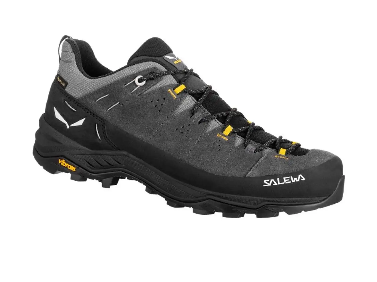 Salewa Alp Trainer 2 Gore-Tex Herrenschuhe Onyx Black