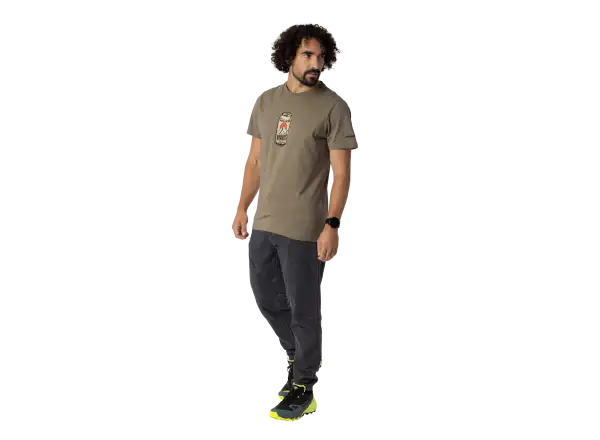 Dynafit Graphic Cotton Herren T-Shirt Kurzarm Fallen Rock/Beer Can