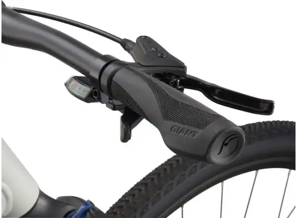 Giant Roam 3 Disc Metal Trekkingrad