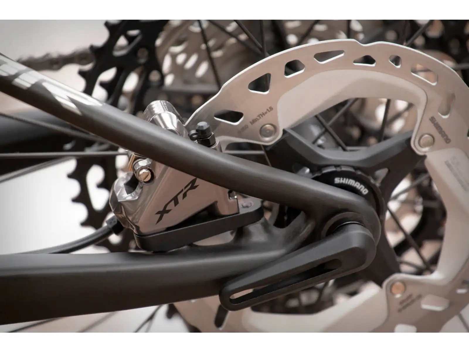 Übersetzung: Superior Team XF 29 Issue Mountainbike Gloss Carbon/Chrome