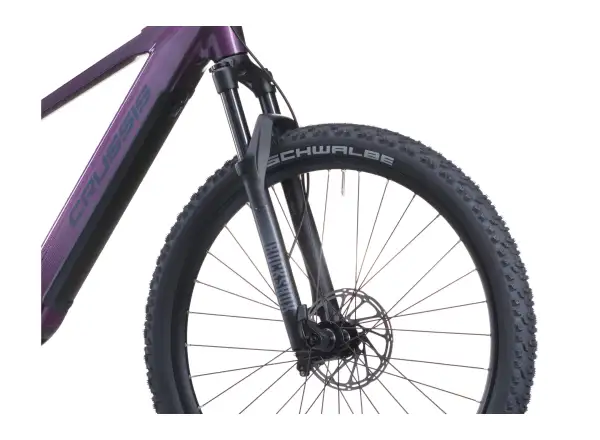 Crussis e-Fionna AX 9.12-M2S(600) Mountain-E-Bike