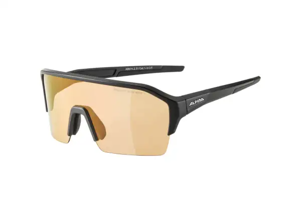 Alpina Ram HR Q-Lite V Brille Black Matt