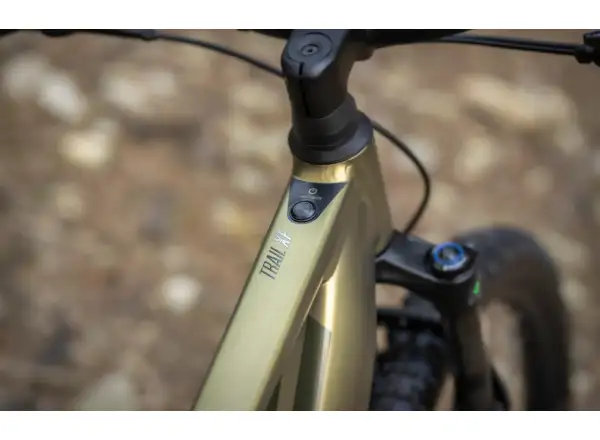 Superior eXF 8089 Fully Suspended E-Bike Matte Olive Metallic/Chrome Silver