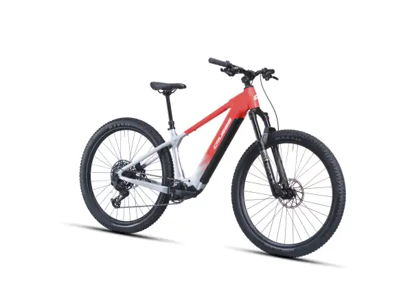 Crussis e-Fionna AX 10.12-M2S(800) Mountain-E-Bike