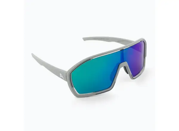 Alpina Bonfire Q-LITE Brille Smoke Grey Matt