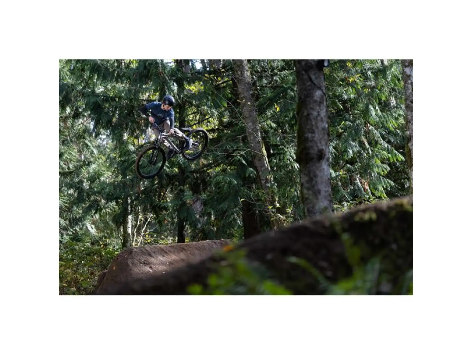 Giant STP 26 Dirtbike Brush Aluminum