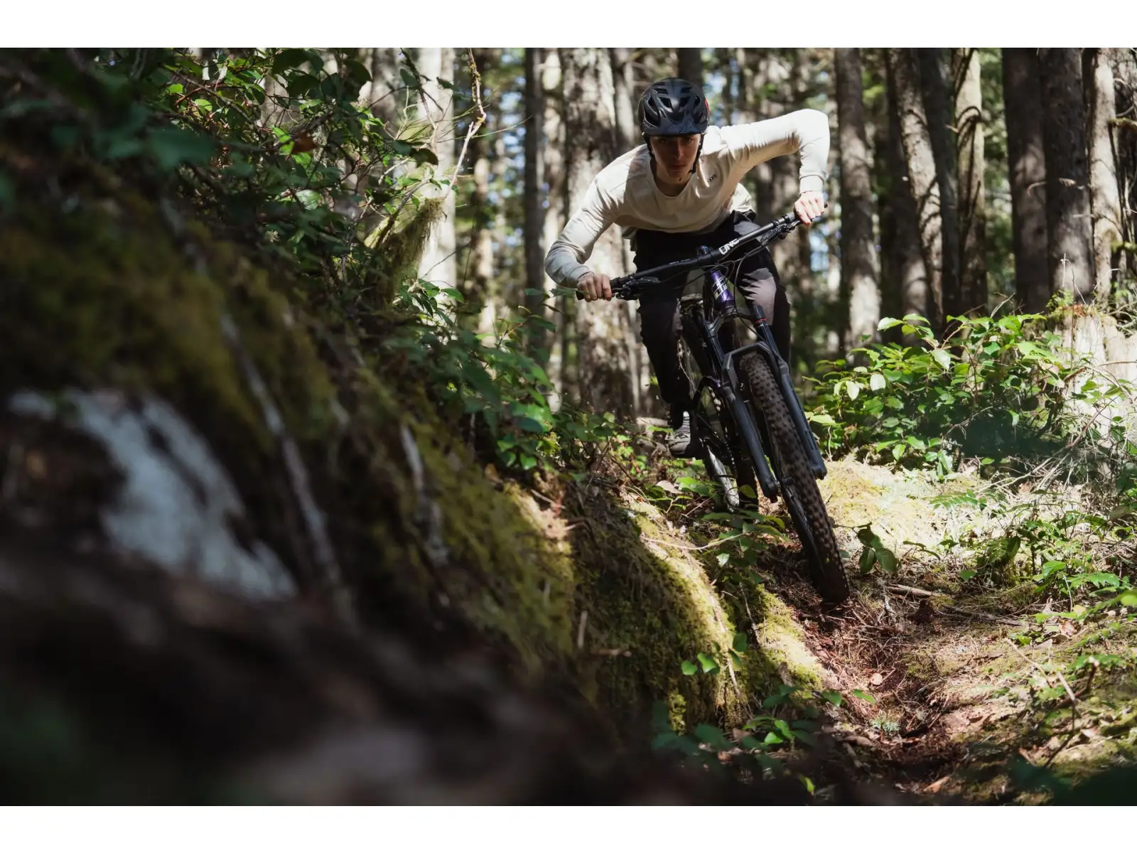 GT Sensor 29 Carbon Elite WGR Mountainbike
