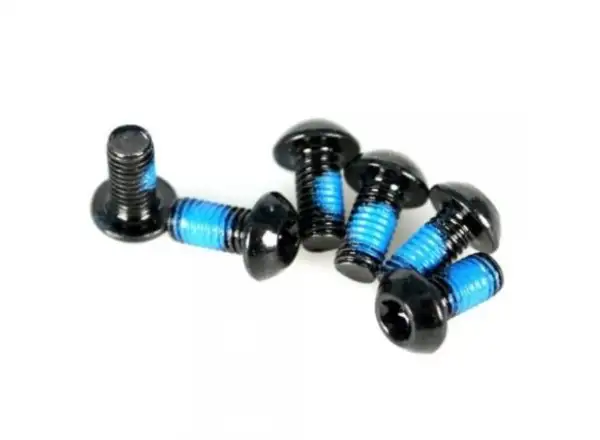Sram T25 Torx Scheibenbefestigungsschrauben 6 St.
