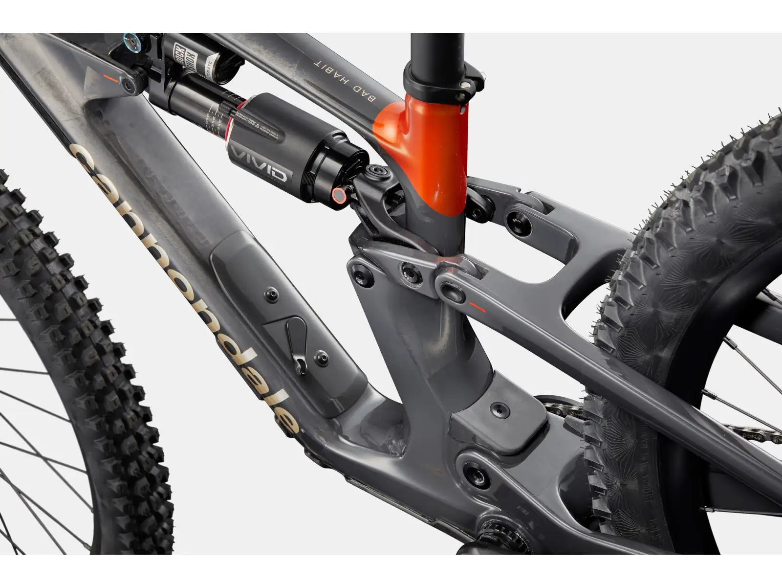 Cannondale Bad Habit 1 Mountainbike RAW Carbon
