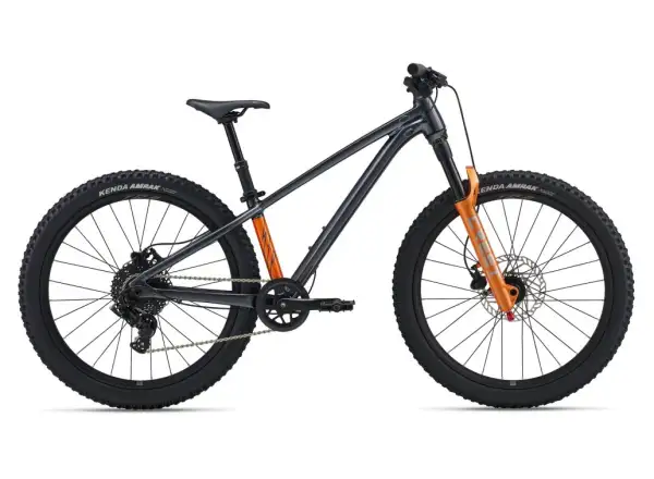 Giant STP 24 Kinder-Mountainbike Black Chrome