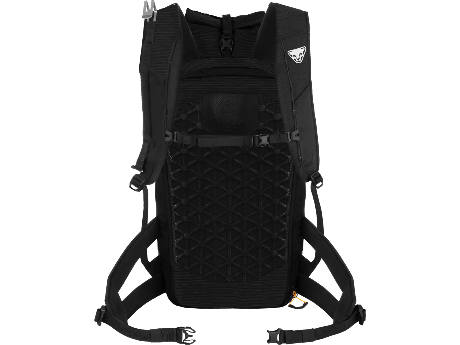 Dynafit Radical 30+ Rucksack 30 l Schwarz
