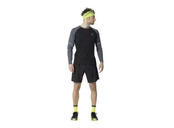 Dynafit Alpine Pro Herren Trikot Langarm Cinder