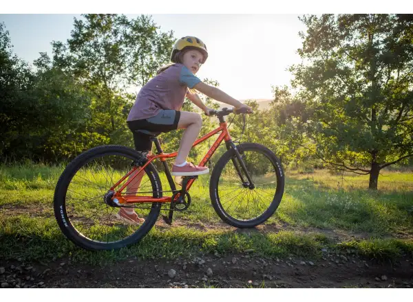 Rascal 26 3 sp. Shimano Nexus Kinderfahrrad Flame
