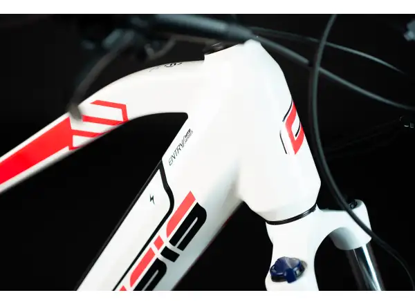 Crussis e-Guera 5.8 Elektro-Mountainbike
