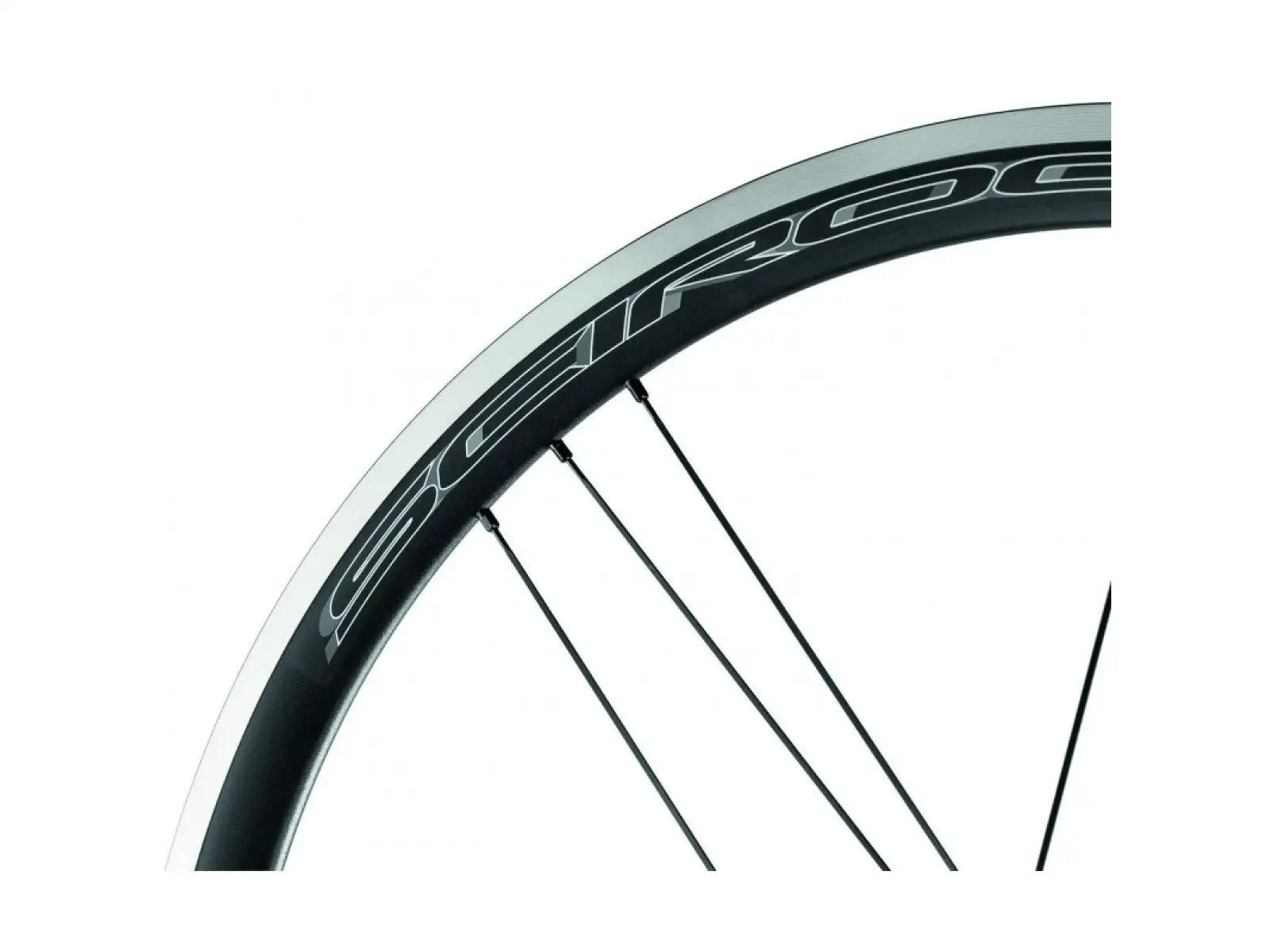 Campagnolo Scirocco C17 Laufräder Reifen