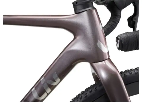 Liv Brava Advanced Pro 2 Cyclocross Bike Airglow

Danke!