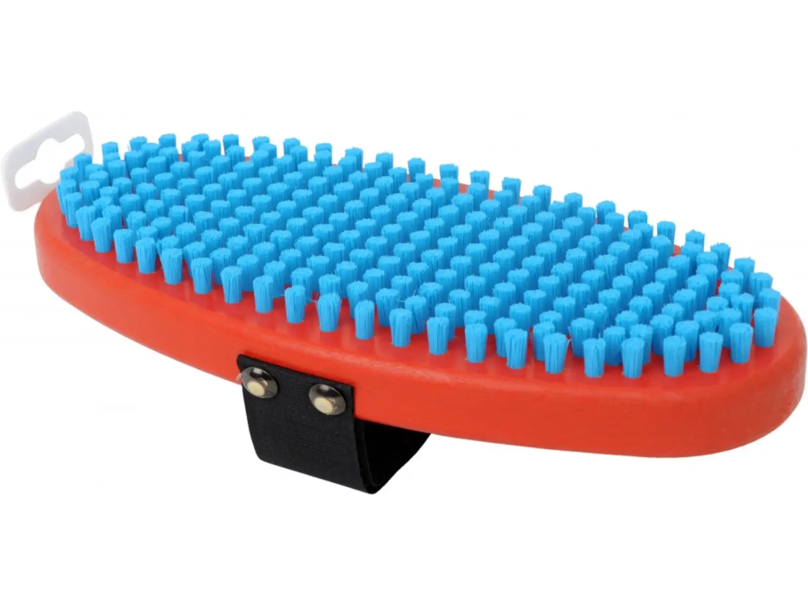 Swix T0160O Bürste oval blau Nylon