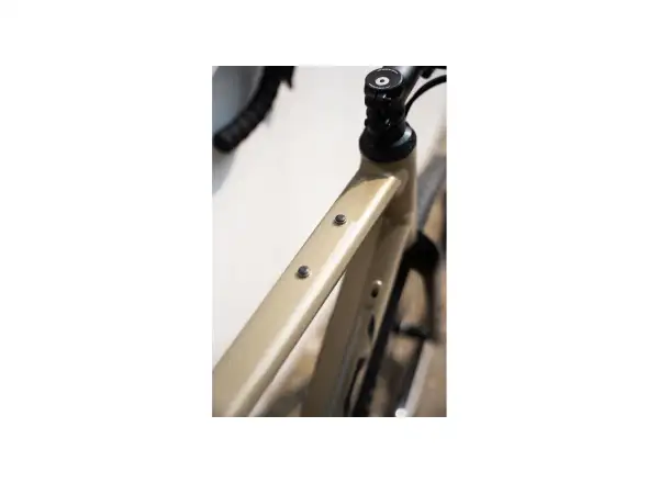 Ridley Kanzo Adventure Alu GRX600 Gravelbike Bronze Green/Black