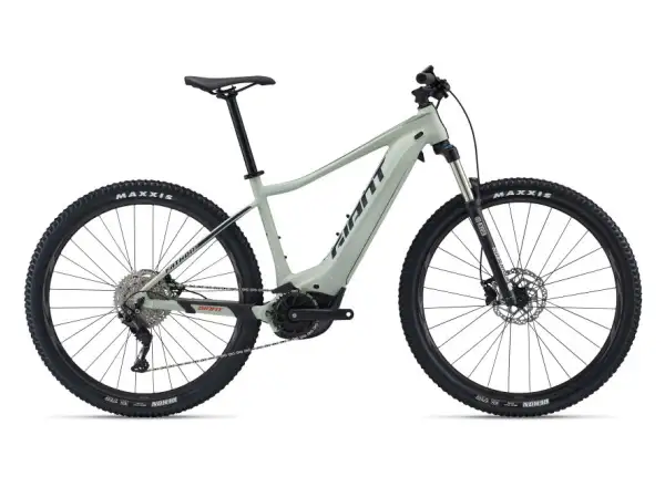 Giant Fathom E+ 2 29 Herren E-Bike in Wüstensalbei