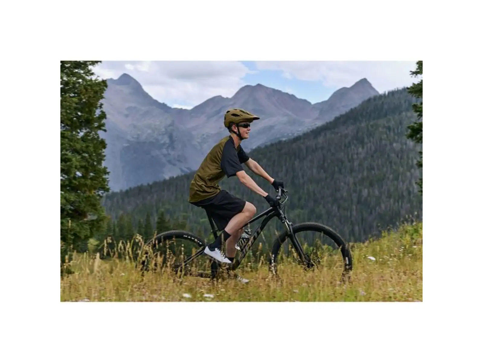 Giant Talon 29 3 Mountainbike Frost Silver