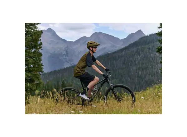 Giant Talon 29 3 Mountainbike Frost Silver