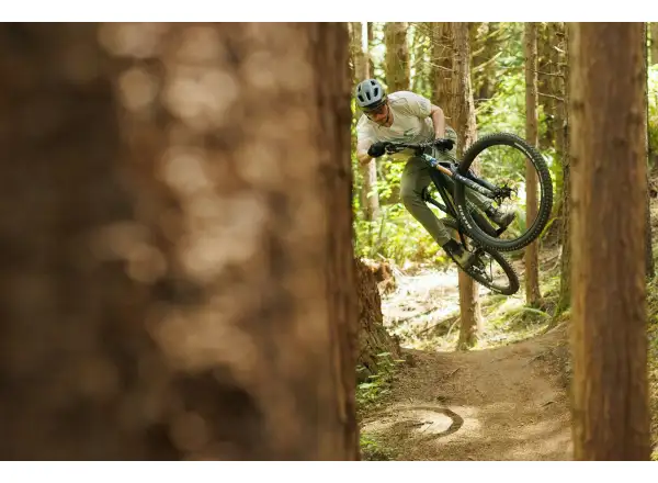 Ibis Ripley V5 GX T-Type AXS Mountainbike Green Flash