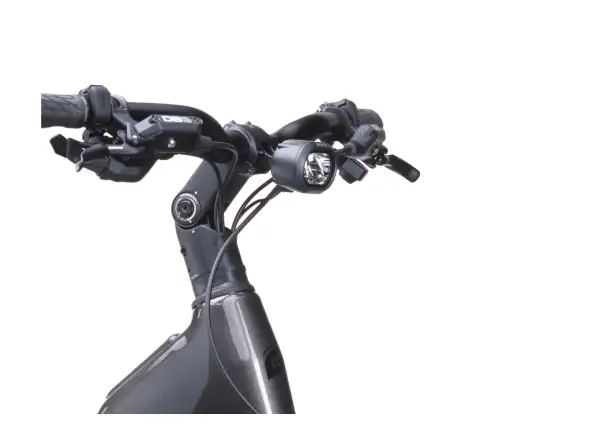 Crussis ONE-Country AX 10.12-M2(800) City-E-Bike
