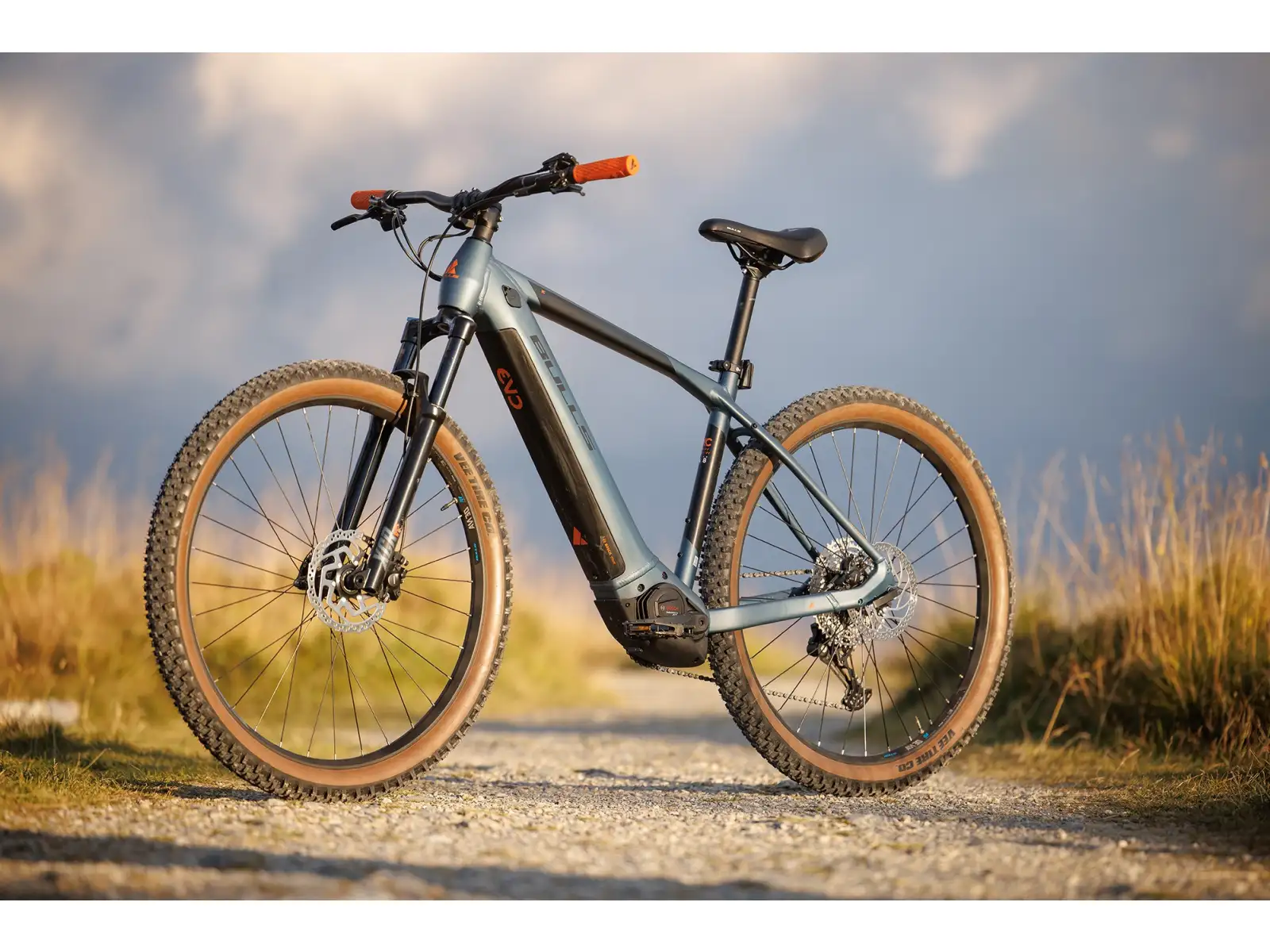 Bulls Copperhead EVO 2 29 Pro Elektro-Mountainbike mattblau
