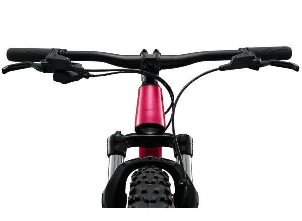 Liv STP 20 Kinder-Mountainbike Hot Pink