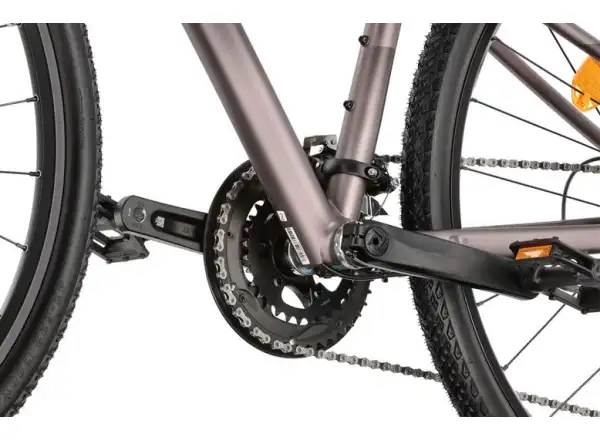 Liv Rove 1 DD Damen-Trekkingrad Dark Eclipse