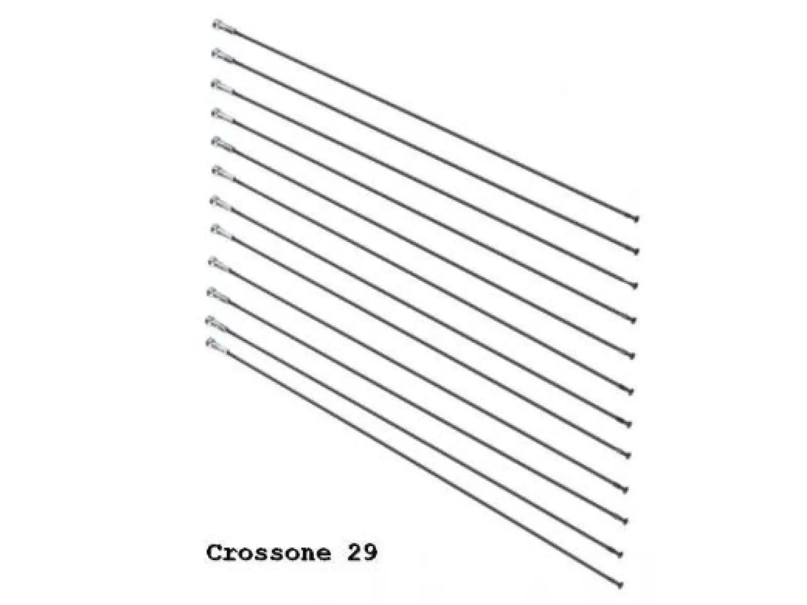 Mavic Crossride/CrossOne/Aksium Disc Speichensatz 12 Stück - 36690400