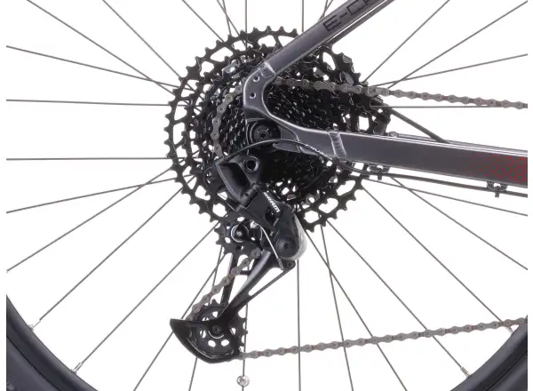 Crussis e-Cross 9.11 715Wh Cross-E-Bike