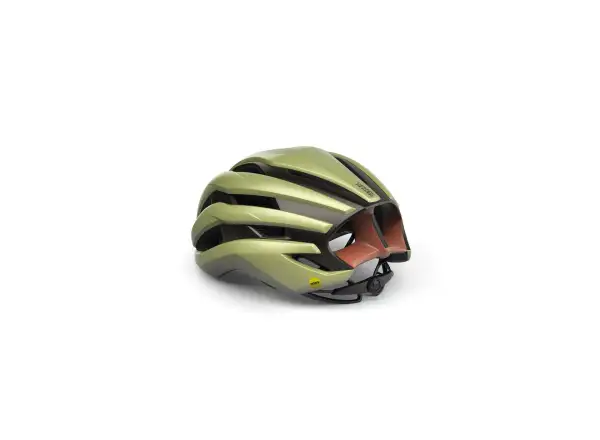 Met Trenta MIPS Helm Wander Herbal