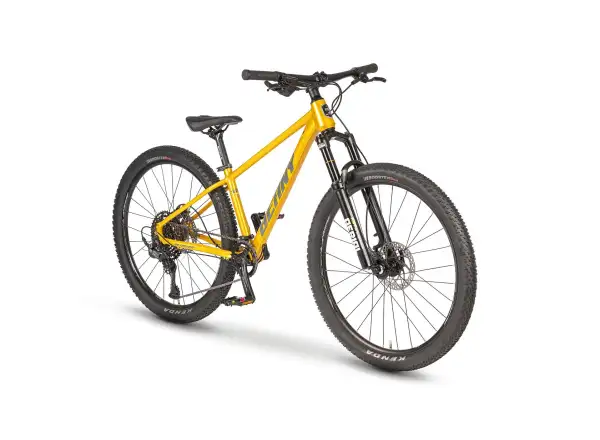 Beany Blaster 26 Kinderfahrrad Gold
