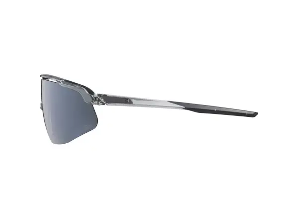 Alpina Turbo PRO Q-lite Brille Grey Transparent Gloss