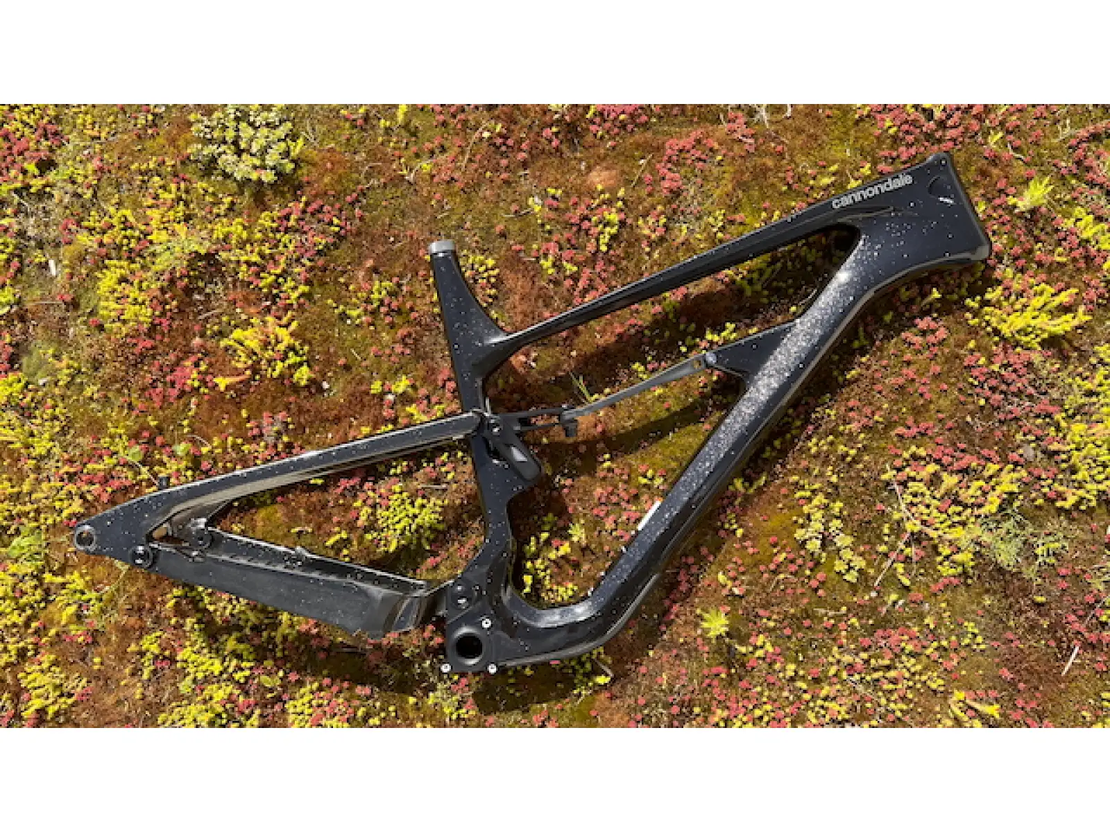 Cannondale Habit Carbon 29" MTB Rahmen GDT